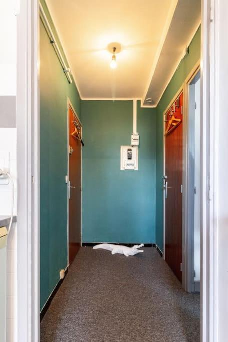Double Appartement, Saint Michel, Parking, Wifi Toulouse Dış mekan fotoğraf